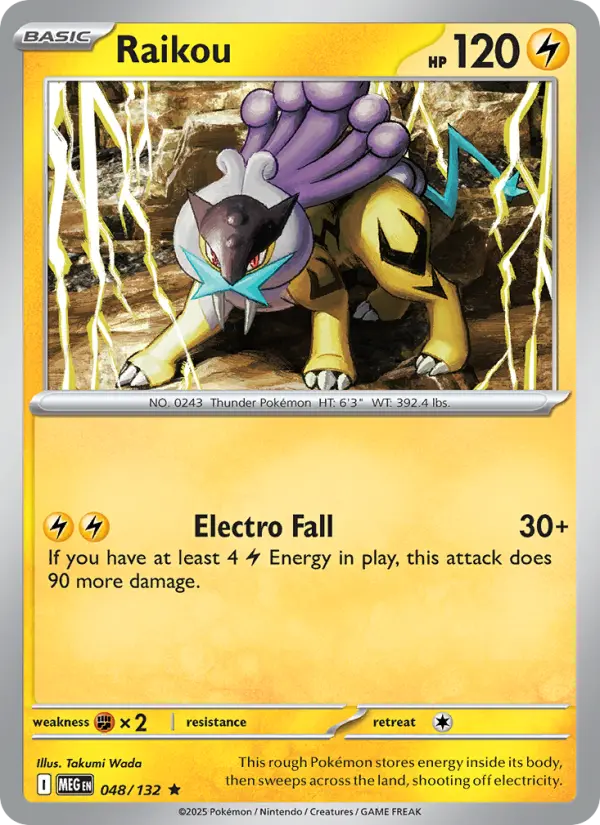 Raikou #048