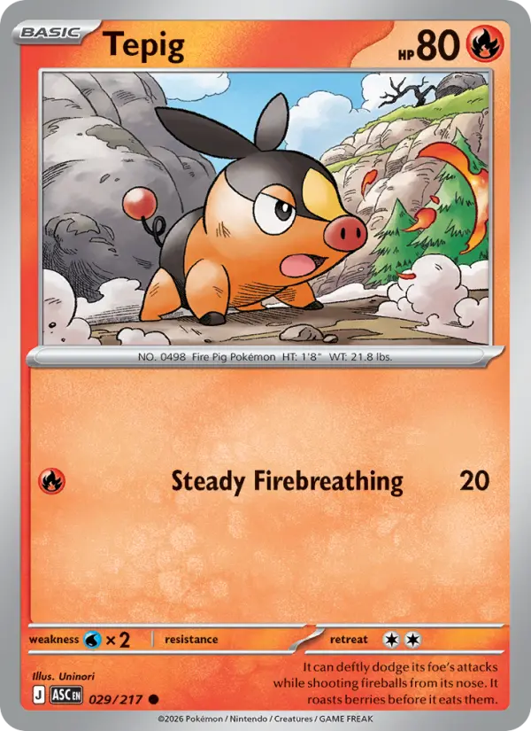 Tepig #029