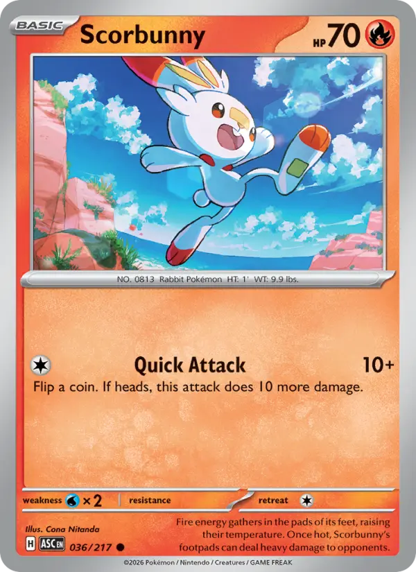 Scorbunny #036