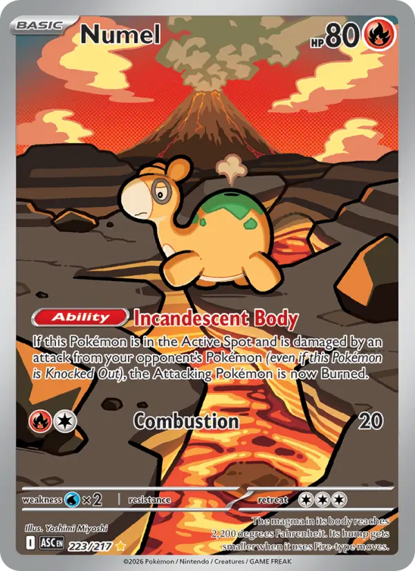 Numel #223