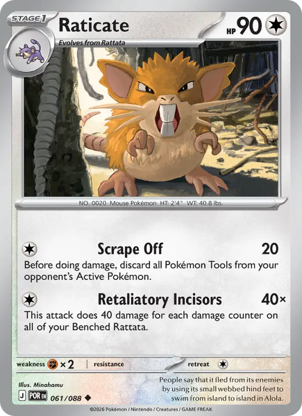 Raticate #061