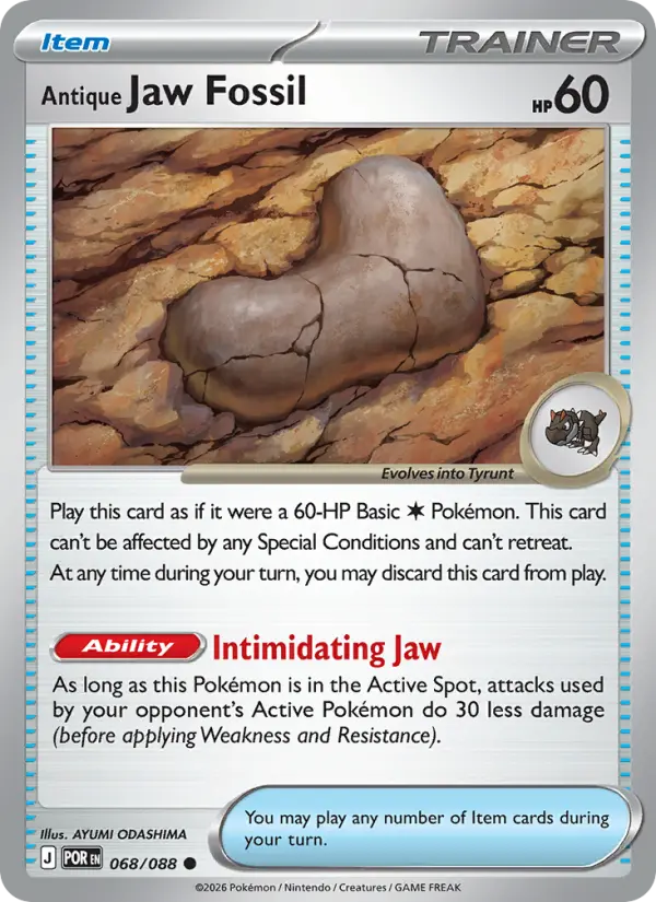 Antique Jaw Fossil #068