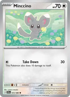 Minccino