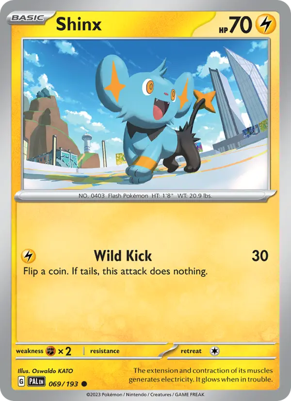 Shinx #069