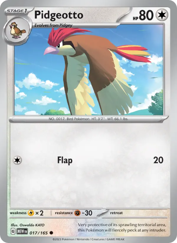 Pidgeotto #017