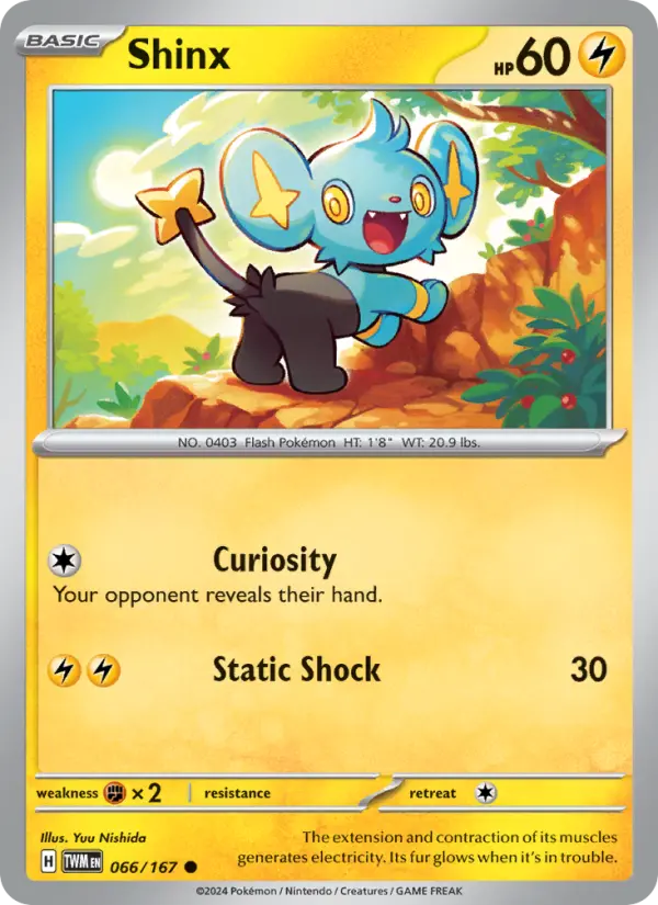 Shinx #066