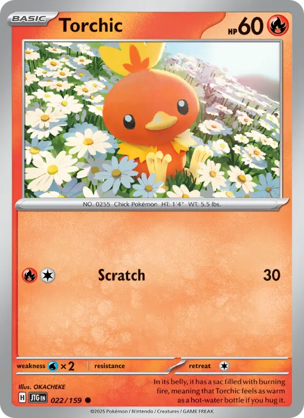 Torchic #022