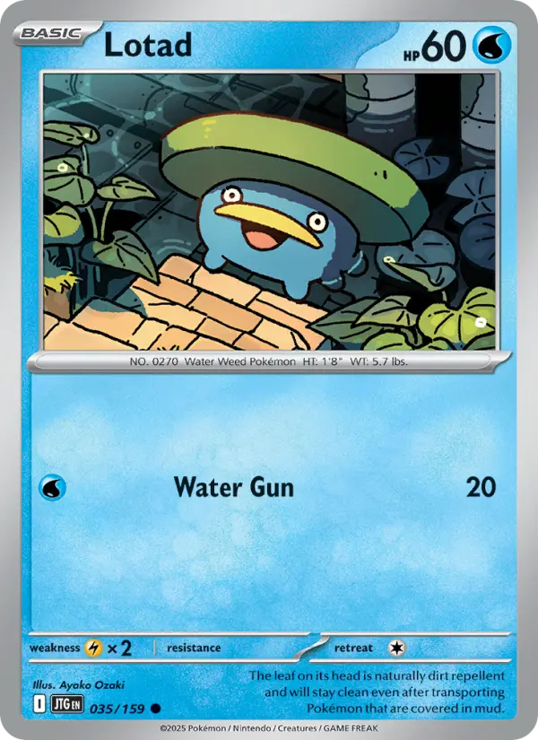 Lotad #035