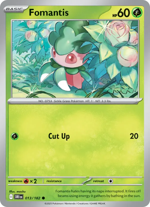 Fomantis #013