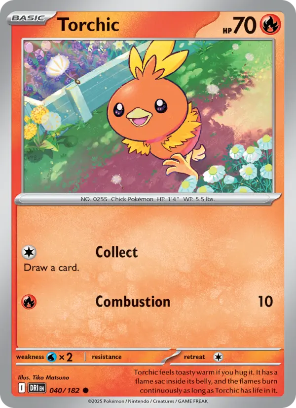 Torchic #040
