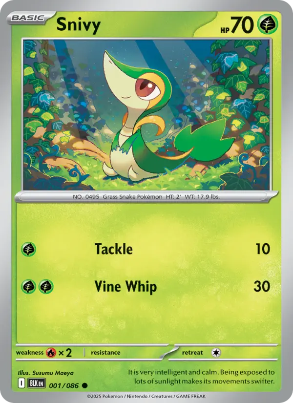 Snivy #001