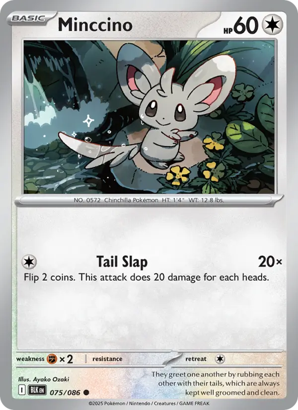 Minccino #075