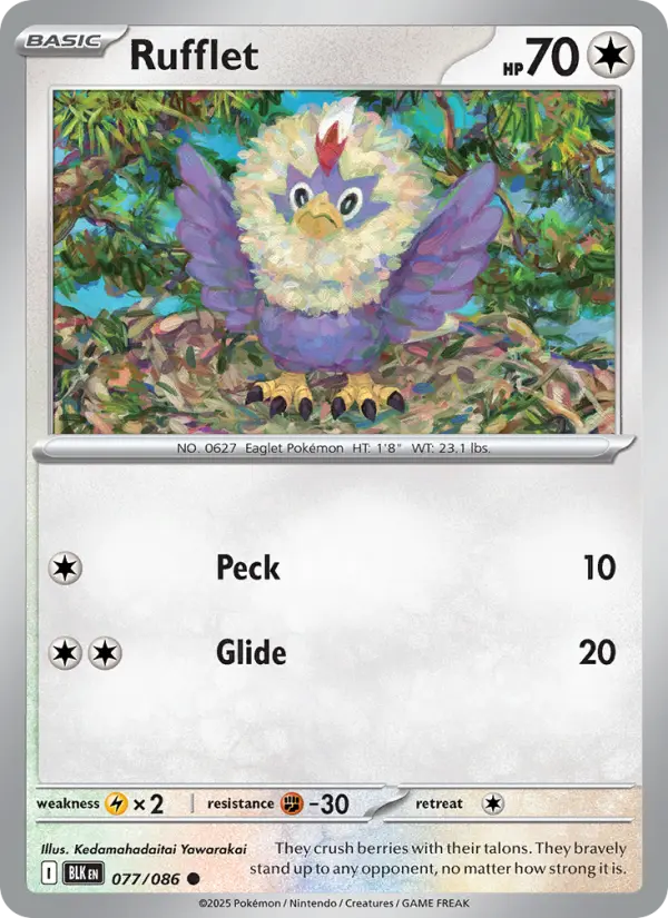 Rufflet #077