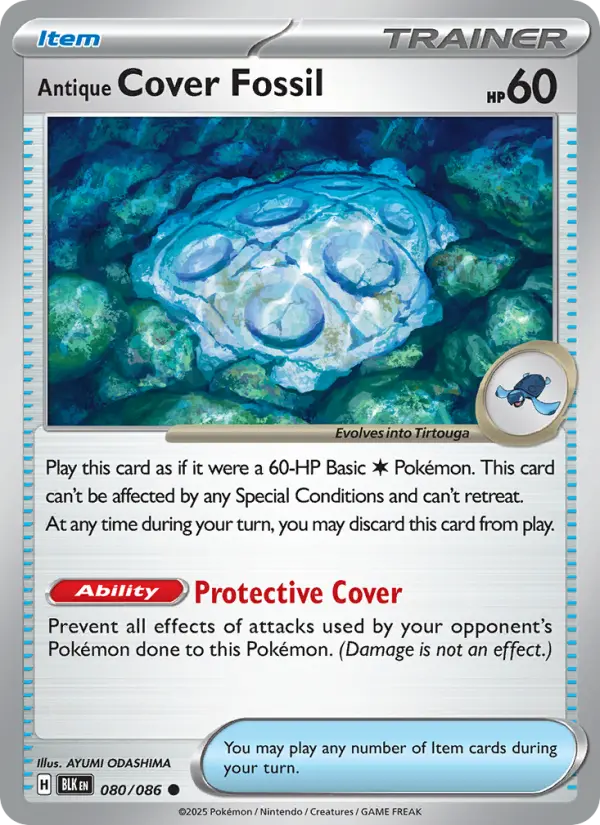 Antique Cover Fossil #080