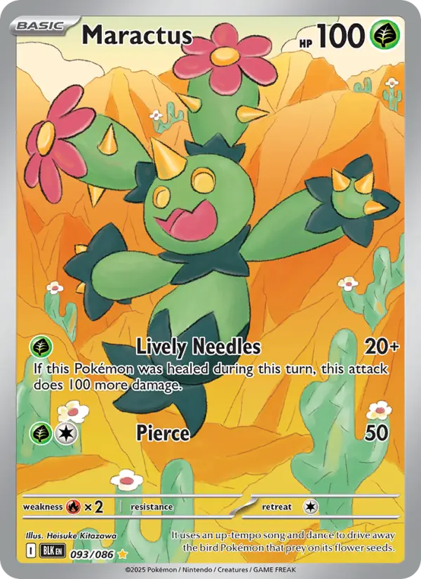 Maractus #093