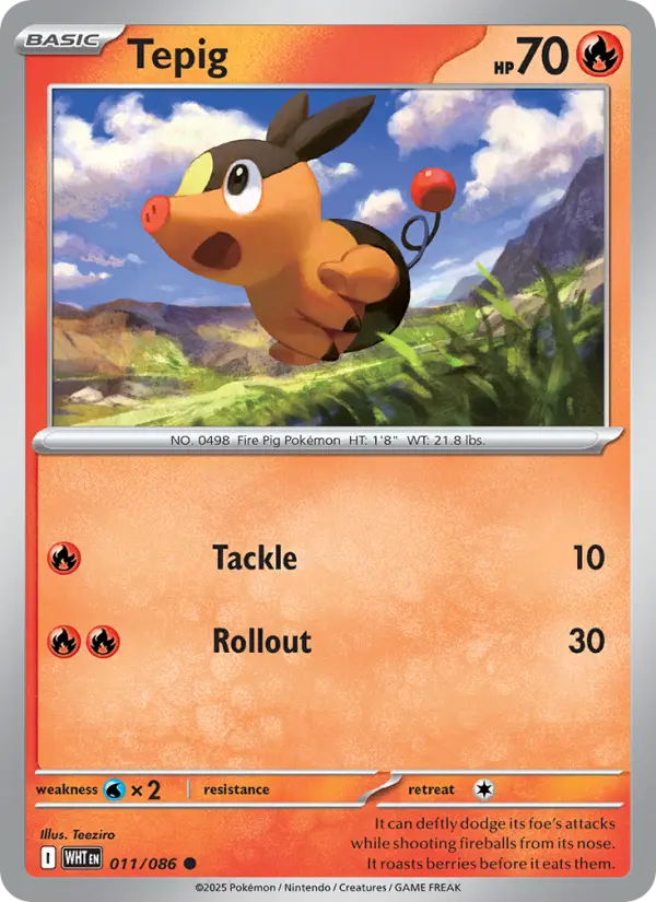 Tepig #011