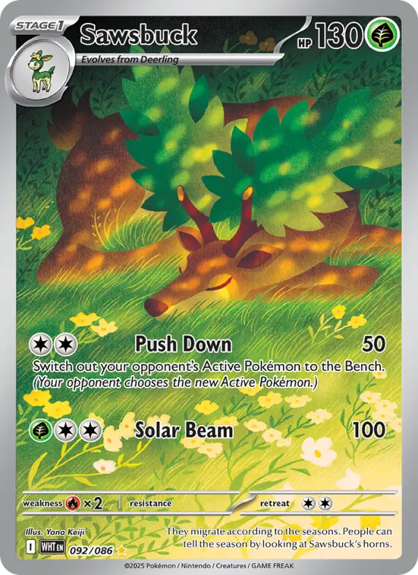 Sawsbuck #092