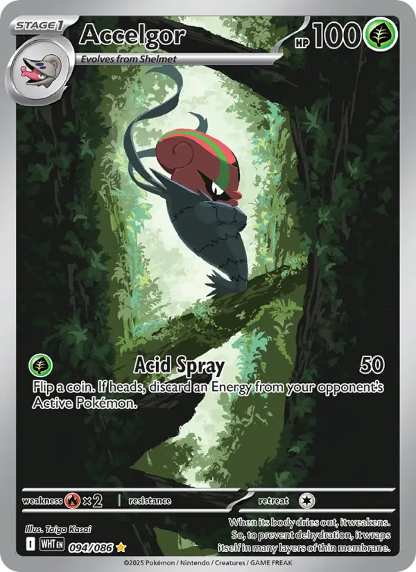 Accelgor #094