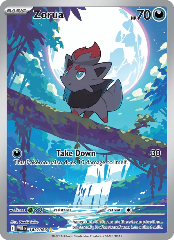 Zorua #142