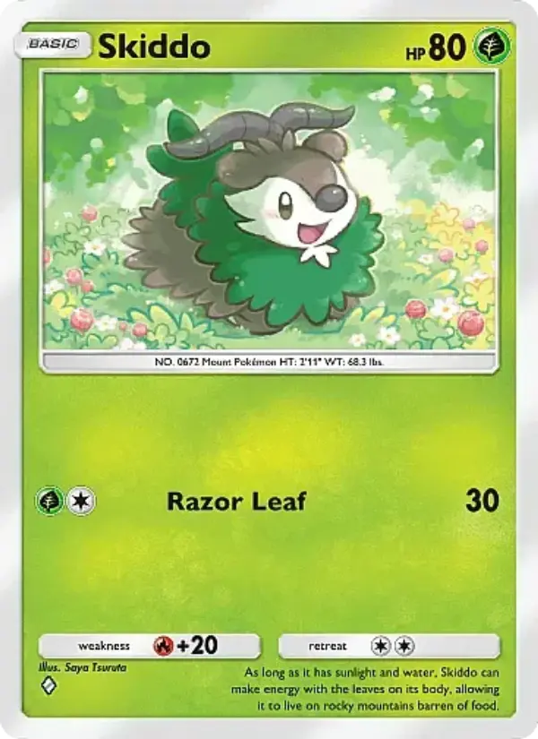 Skiddo #021