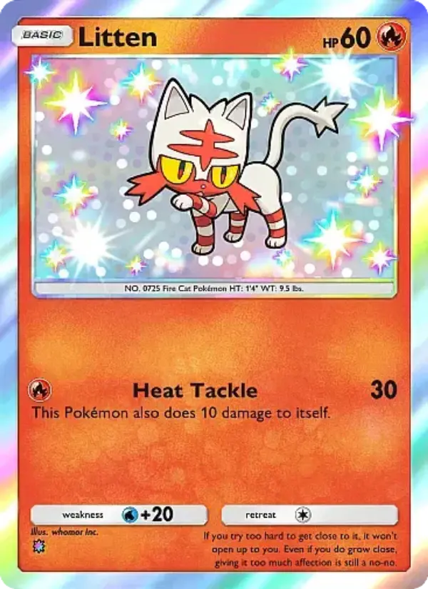 Litten #293