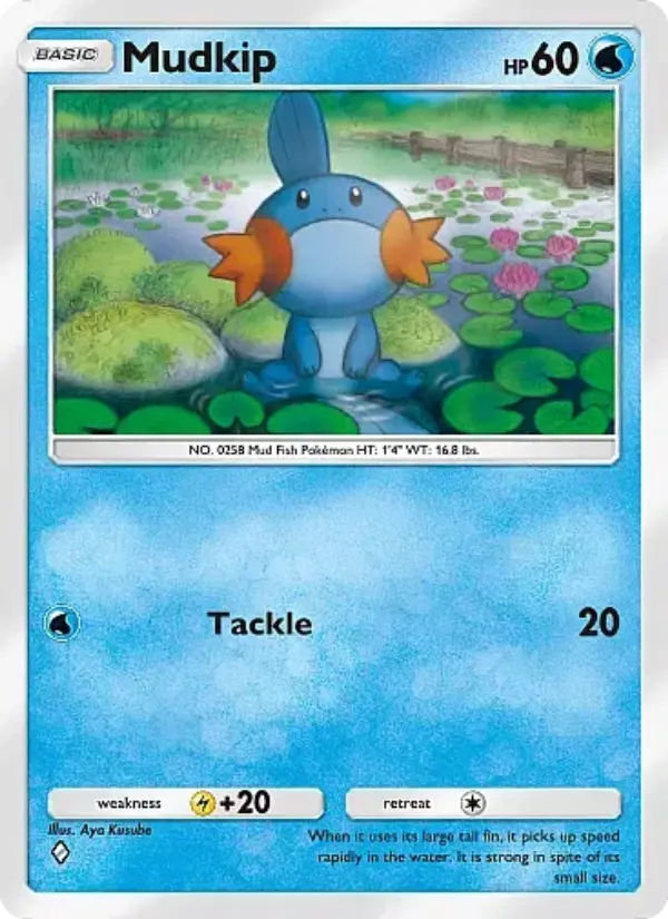 Mudkip #033